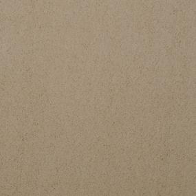 Plush Saxony Buttered Rum Beige/Tan Carpet