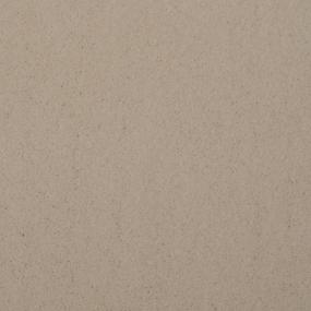 Plush Saxony Cloque Beige/Tan Carpet