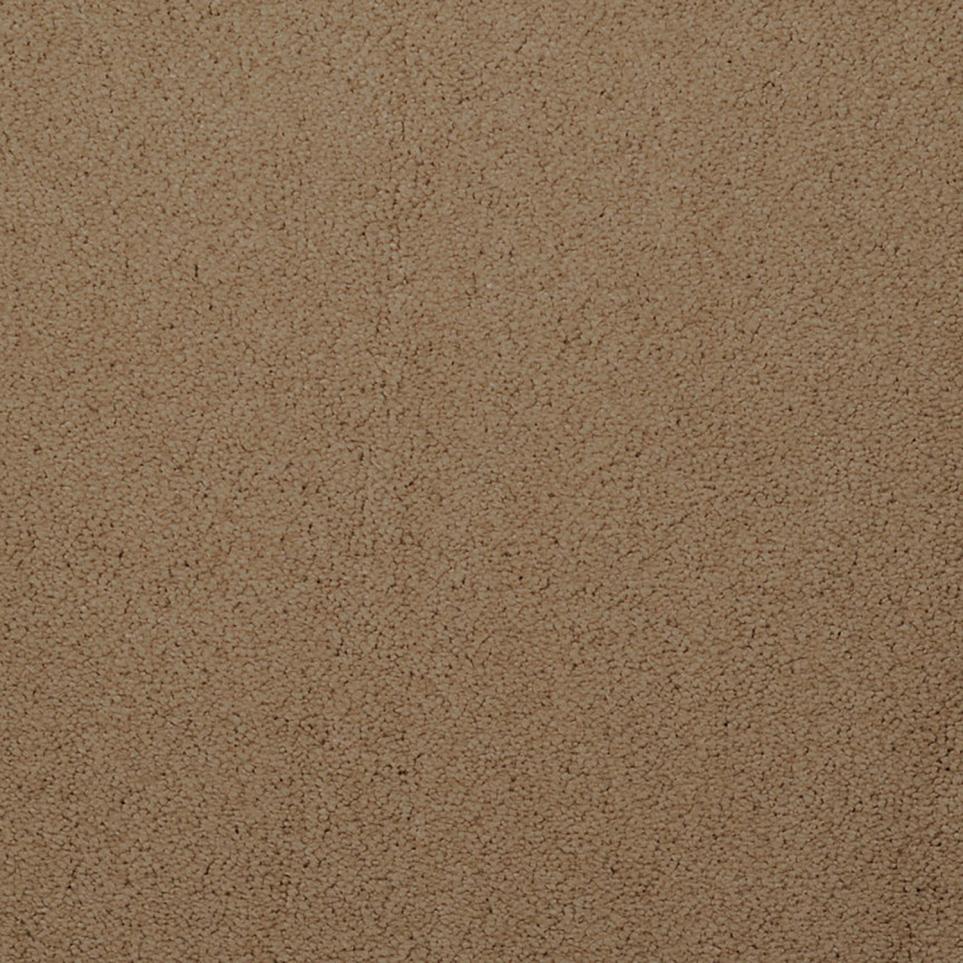 Plush Soft Amber Beige/Tan Carpet