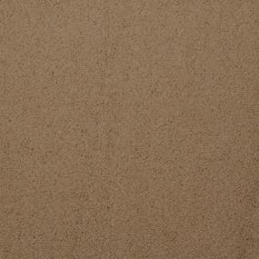 Plush Saxony Cardamon Brown Carpet