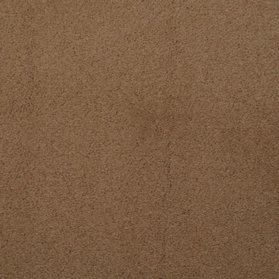 Plush Rhine Brown Carpet