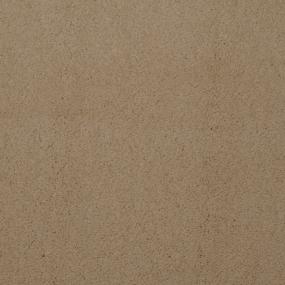 Plush Saxony Pipet Beige/Tan Carpet