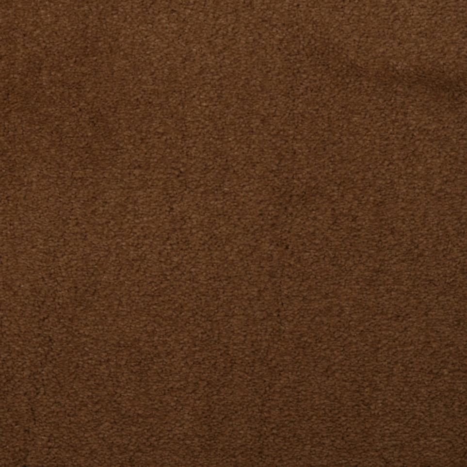 Plush New Penney Brown Carpet
