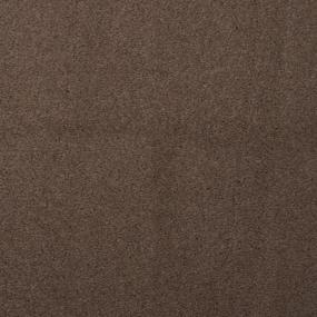 Plush Saxony Natty Brown Carpet