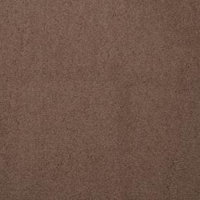 Plush Saxony Woodrose Brown Carpet