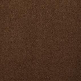 Plush Saxony Ruin Brown Carpet