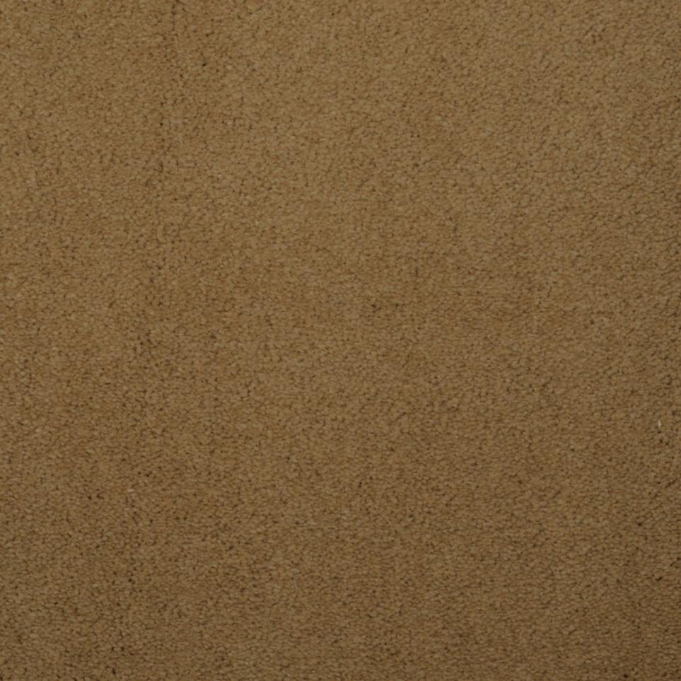 Plush Cameleer Beige/Tan Carpet