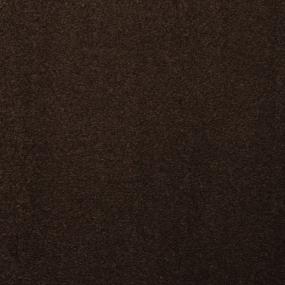 Plush Saxony Bantu Brown Carpet