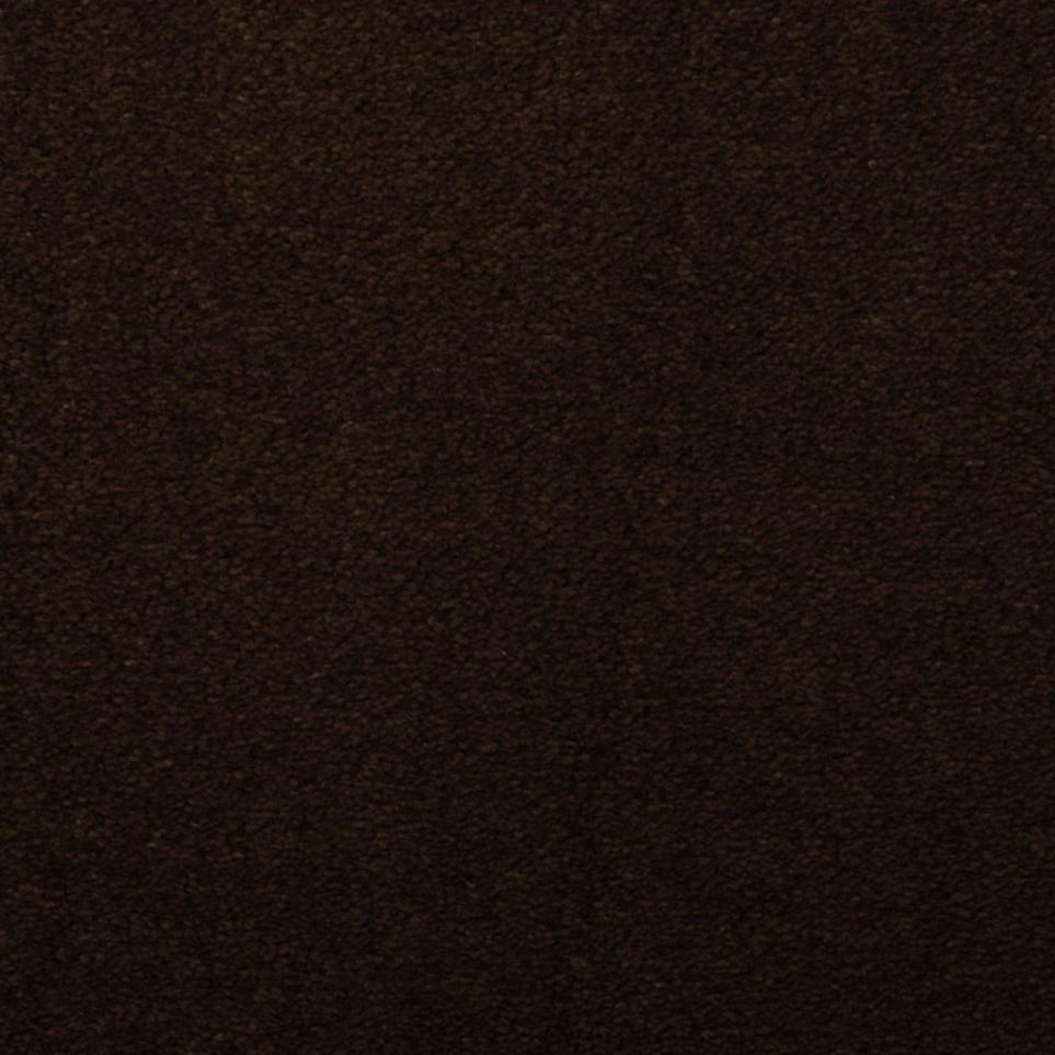 Plush Anatole Black Carpet