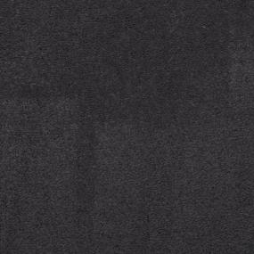 Plush Saxony Graphite Black Carpet