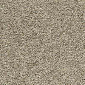 Cedar Shingle