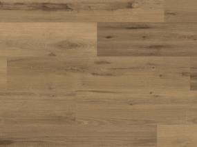 Vermeer Oak