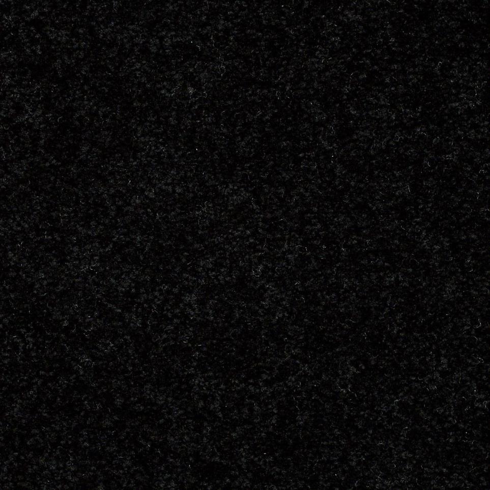 Textured Saxony Tuxedo Black Carpet