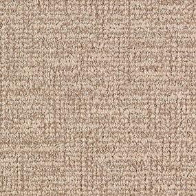 Pattern Sandstone Brown Carpet