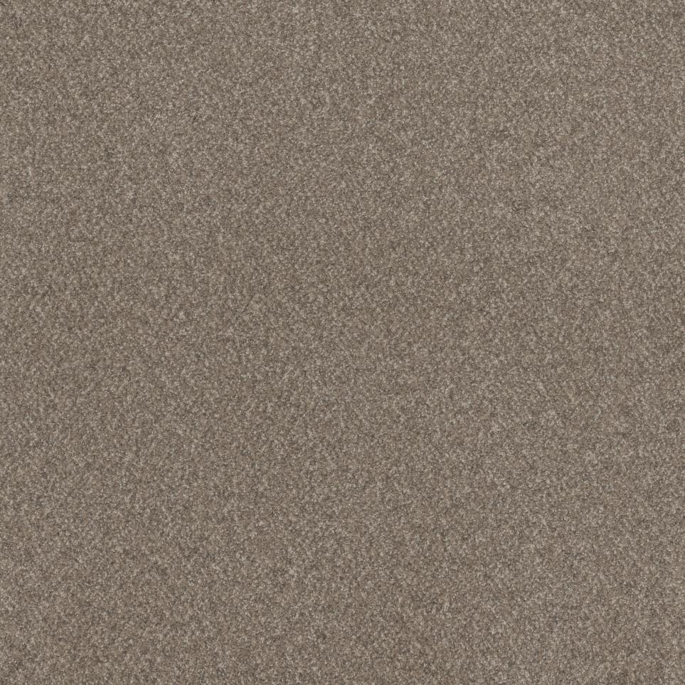 Texture Dry Dock Brown Carpet