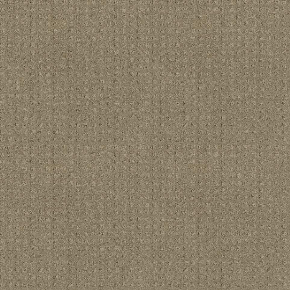 Pattern Antler Beige/Tan Carpet