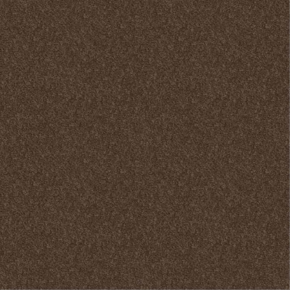 Textured Saxony Pine Cone Brown Carpet