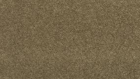 Texture Saddle Beige/Tan Carpet