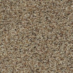 Textured Saxony Georgian Beige/Tan Carpet