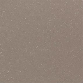 Tile Clarity Matte Brown Tile