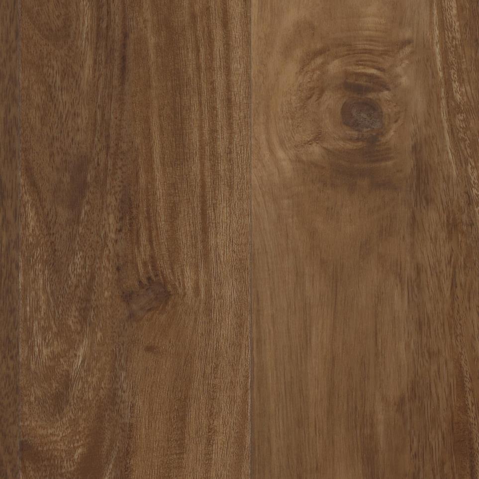 Plank Natural Plains Dark Finish Vinyl