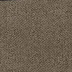 Textured Saxony New Vision Brown Carpet