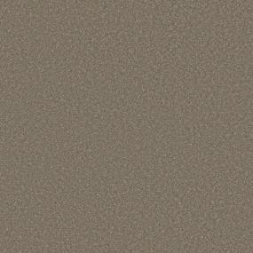 Textured Saxony Suede Beige/Tan Carpet