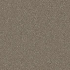 Textured Saxony Suede Beige/Tan Carpet
