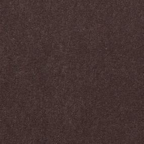 Cut Pile Luggage Gray Carpet