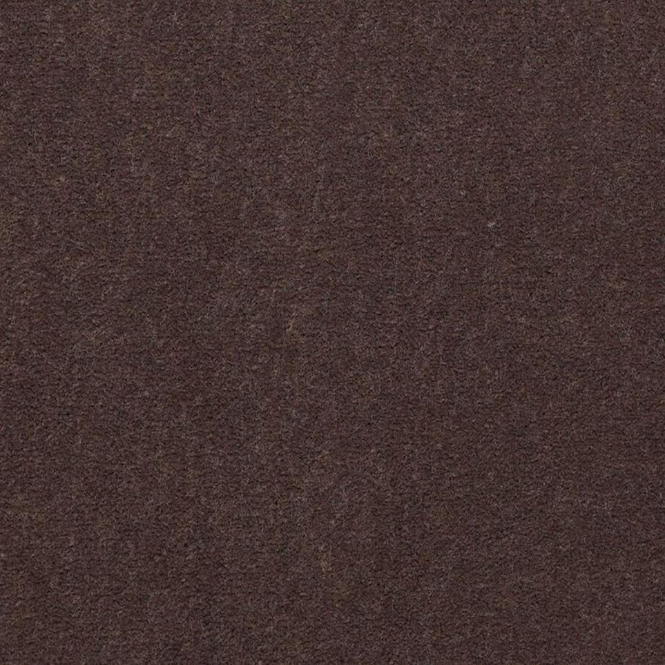 Cut Pile Luggage Gray Carpet