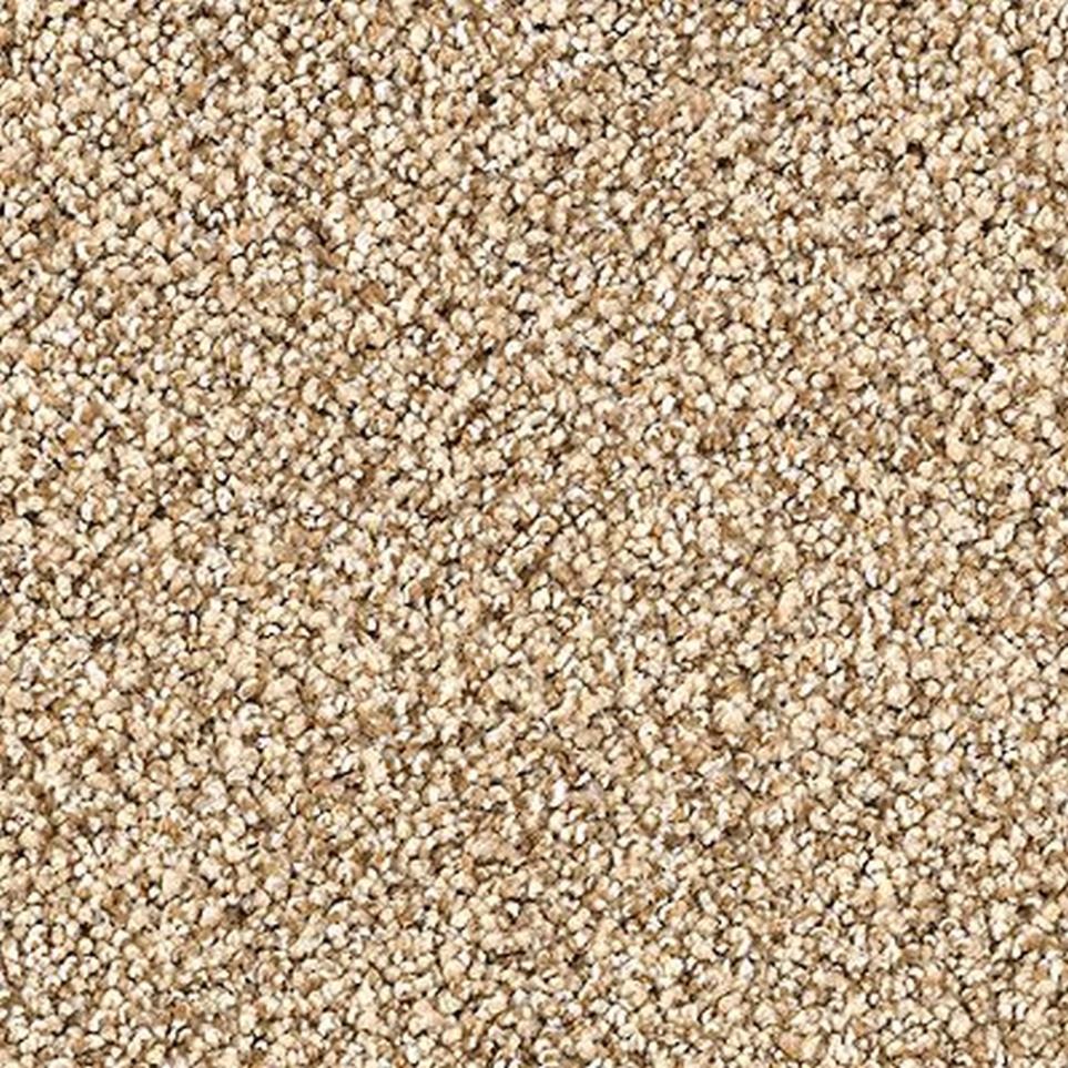 Textured Saxony Heirloom Beige/Tan Carpet