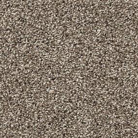 Textured Saxony Elegant Gray Carpet