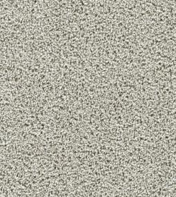 Textured Saxony Class Act Gray Carpet