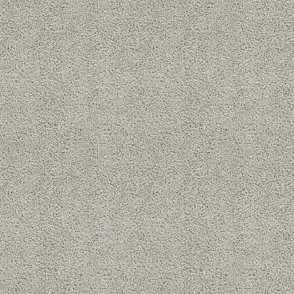Textured Saxony Class Act Gray Carpet
