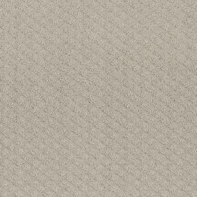 Pattern Chenille Beige/Tan Carpet