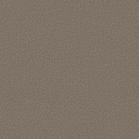 Cut Pile Weathered Beige/Tan Carpet