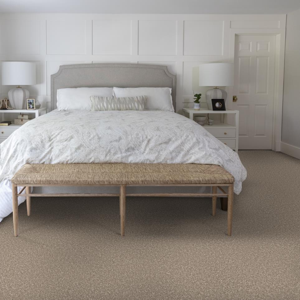 Cut Pile Weathered Beige/Tan Carpet