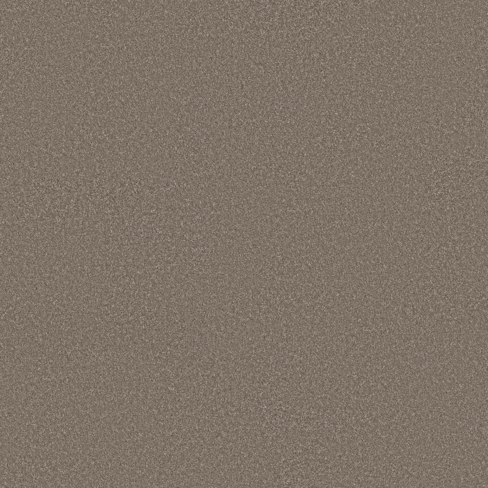 Cut Pile Weathered Beige/Tan Carpet