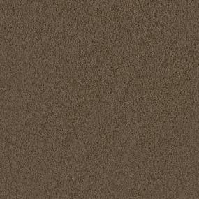 Textured Saxony Chatham Brown Carpet