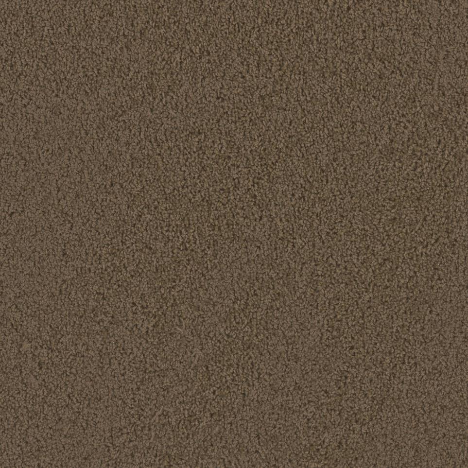 Textured Saxony Chatham Brown Carpet
