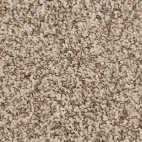 Textured Saxony Deer Valley Beige/Tan Carpet
