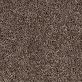 Texture Suede Brown Carpet
