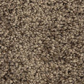 Casual Texture Tibetan Brown Carpet