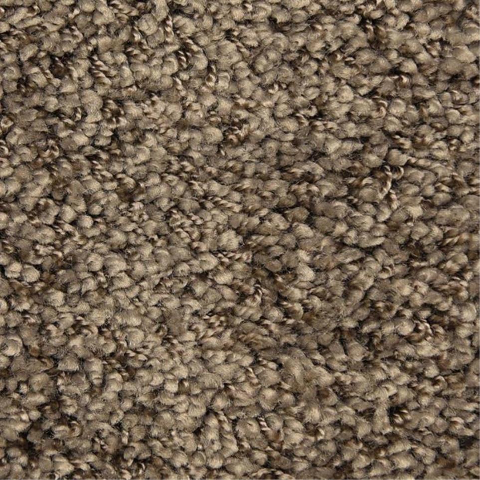 Casual Texture Tibetan Brown Carpet