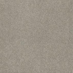 Texture On The Horizon Beige/Tan Carpet