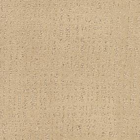 Pattern Vogue Beige/Tan Carpet