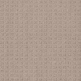 Pattern Fieldstone Beige/Tan Carpet