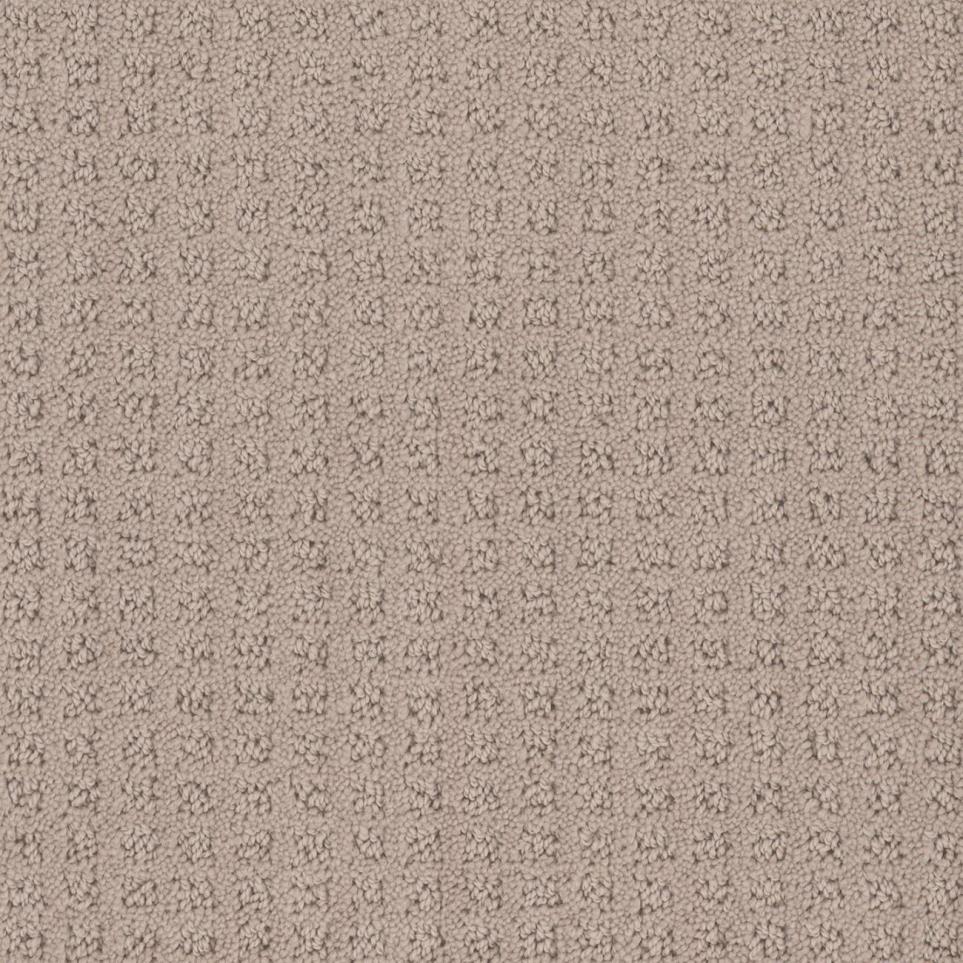 Pattern Fieldstone Beige/Tan Carpet