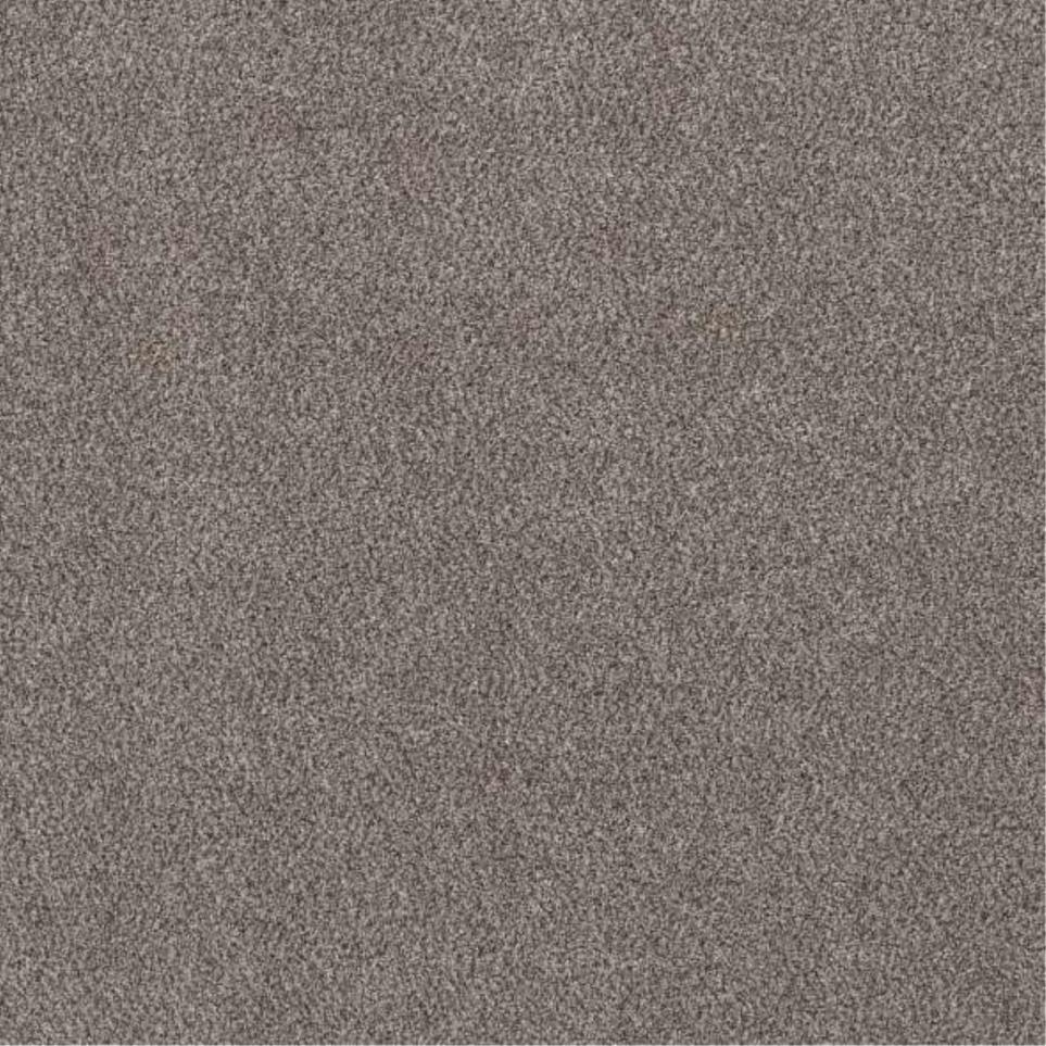 Casual Texture Coastal Ivory Brown Carpet