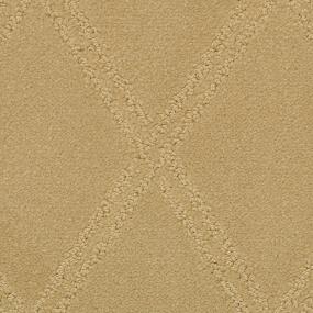Pattern Rich Tan Beige/Tan Carpet